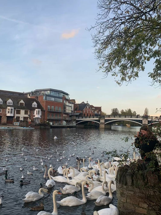 β¨π WINDSOR DAY OUT, CASTLE VISIT, THEMED GOODIE BAGS & LCG'S 2ND BIRTHDAY β¨