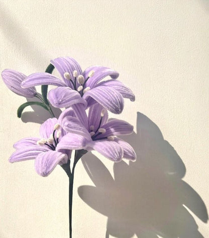 Create & Quiz night: Make your own Pipe Cleaner Flowers, Sip & Make New Connections!