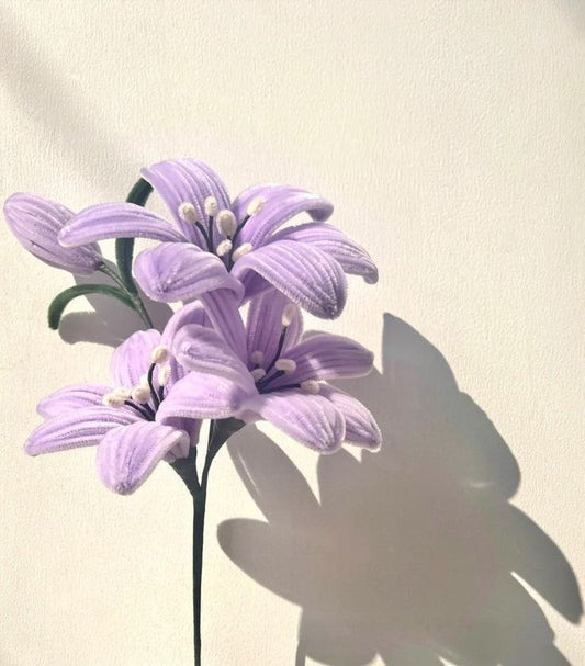 Create & Quiz night: Make your own Pipe Cleaner Flowers, Sip & Make New Connections!