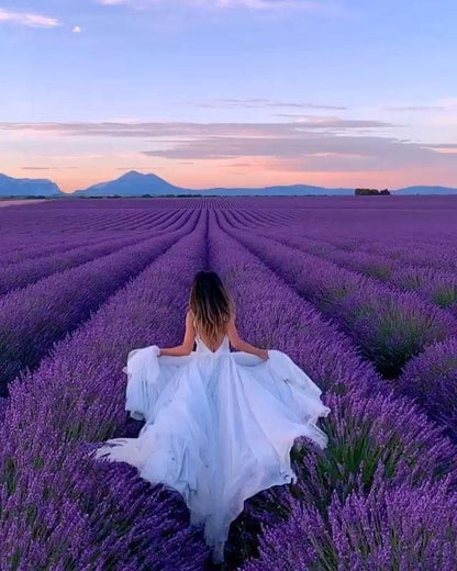 ✨🪻  Lavender Fields Walk, Themed Goodie Bags & New like-minded connections 🪻 ✨