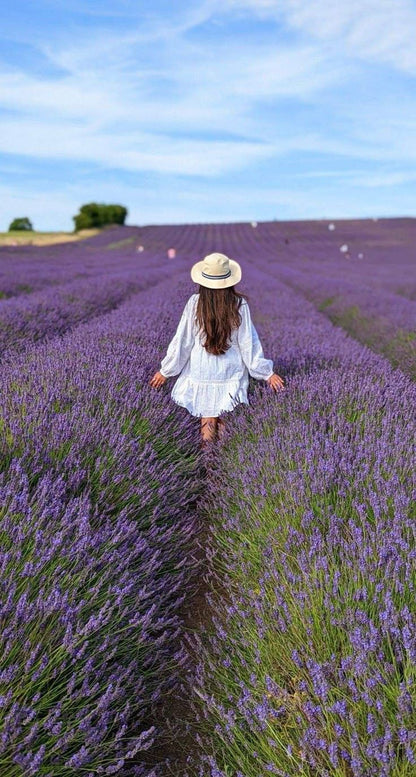 ✨🪻  Lavender Fields Walk, Themed Goodie Bags & New like-minded connections 🪻 ✨
