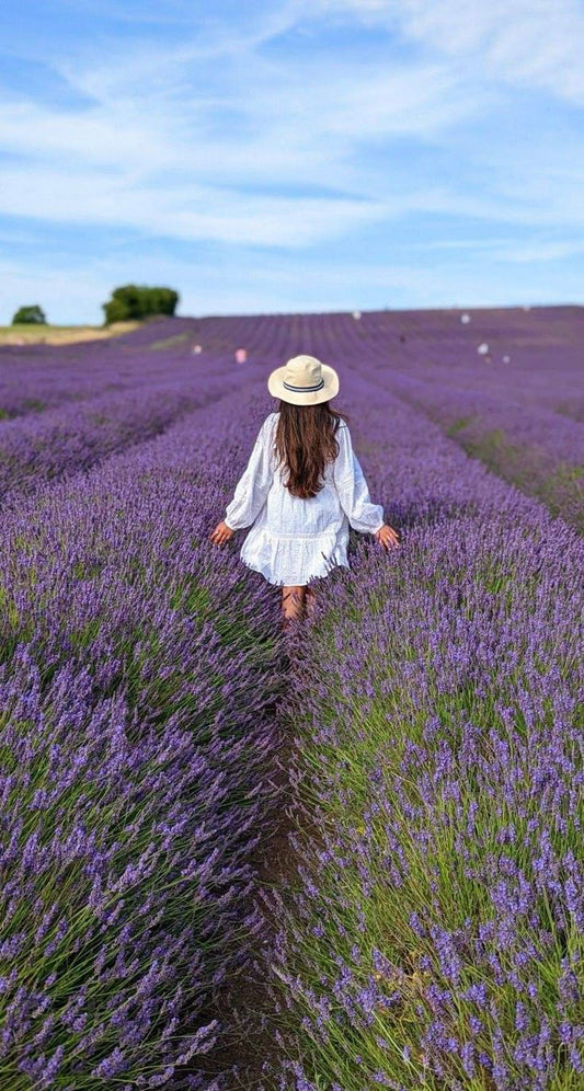 ✨🪻  Lavender Fields Walk, Themed Goodie Bags & New like-minded connections 🪻 ✨
