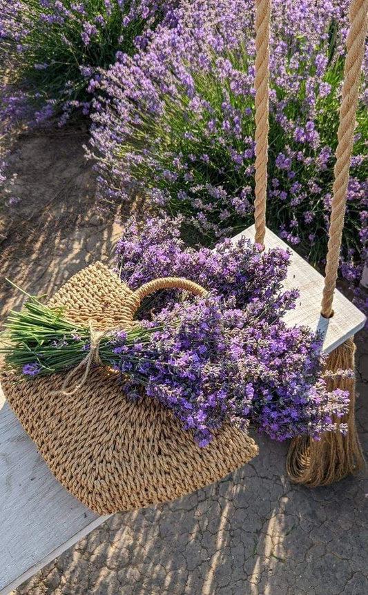 ✨🪻  Lavender Fields Walk, Themed Goodie Bags & New like-minded connections 🪻 ✨