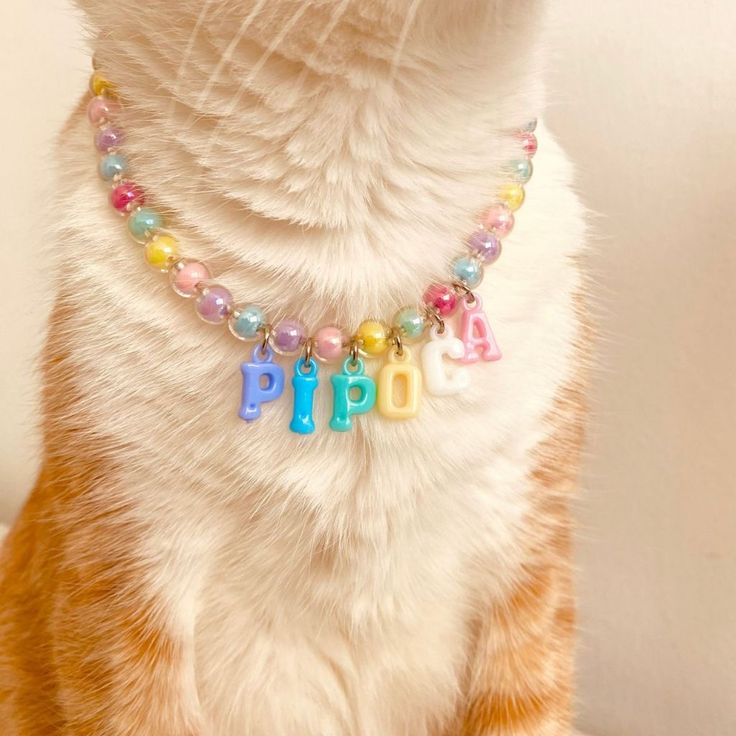 Cat Lovers Unite: Make Matching Beaded Bracelets & Collars for You and Your Furry Friend!
