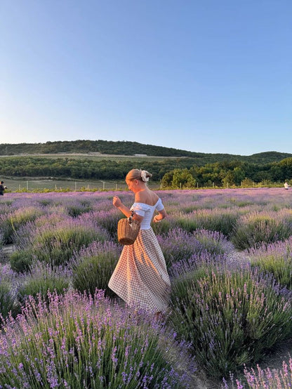 ✨🪻  Lavender Fields Walk, Themed Goodie Bags & New like-minded connections 🪻 ✨